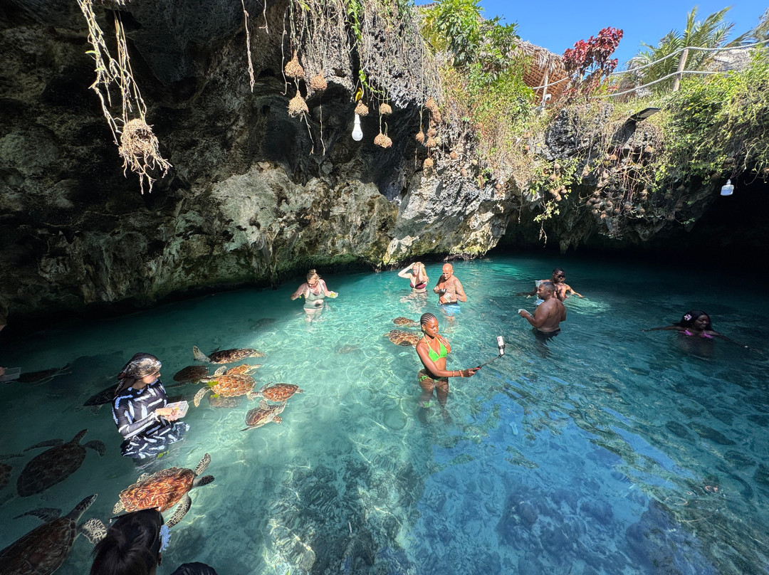 Salaam Cave Aquarium