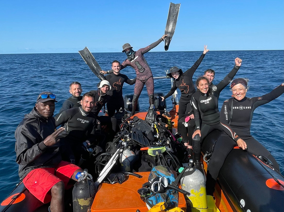 SAFARI, DRIVE & DIVE TOURS-Inhambane必去景点