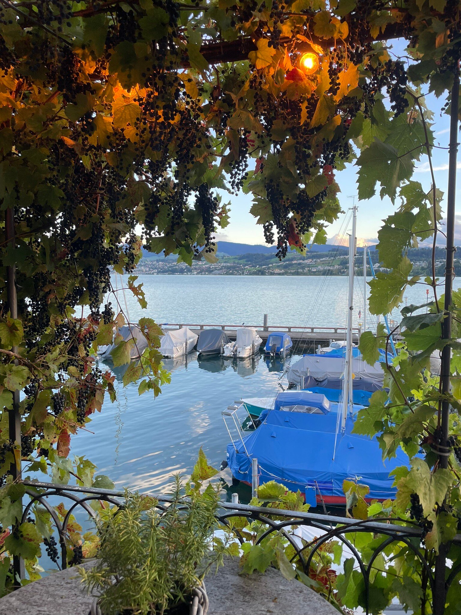 Hirschen Am See-官方