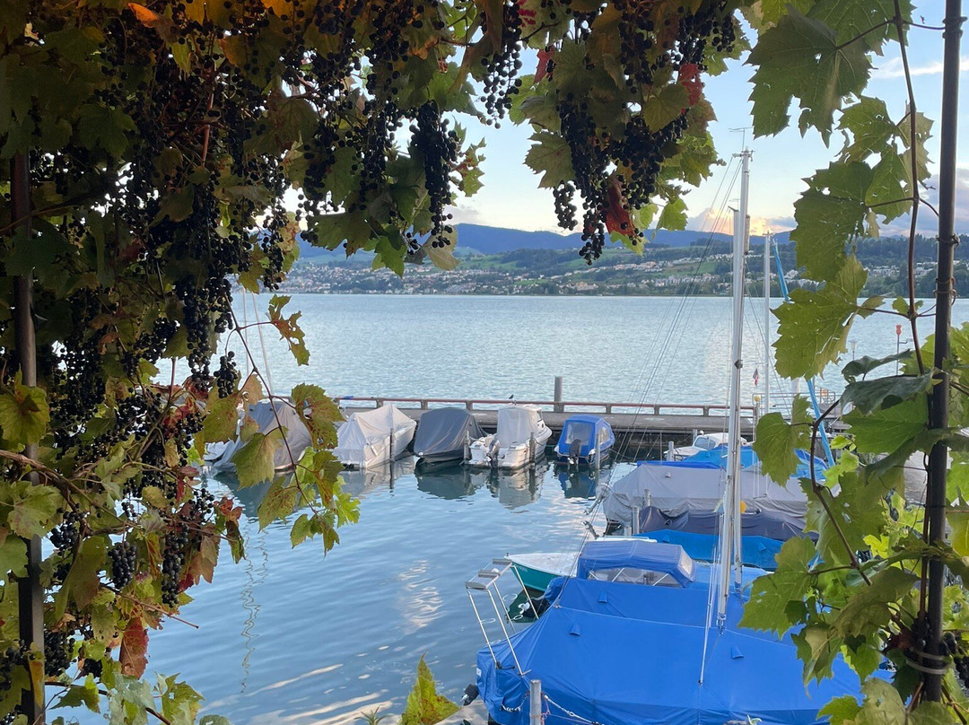 Hirschen Am See主图