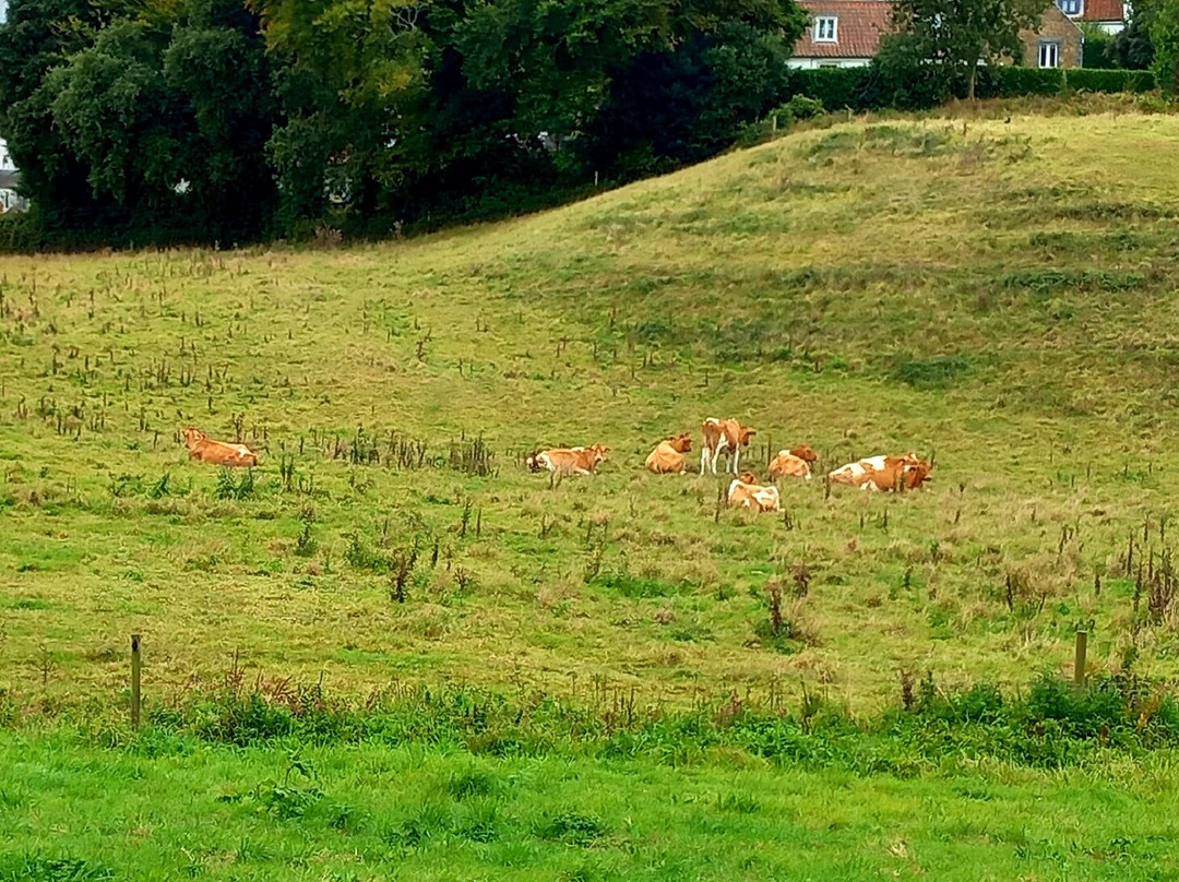 Island Coachways-St Peter Port必去景点