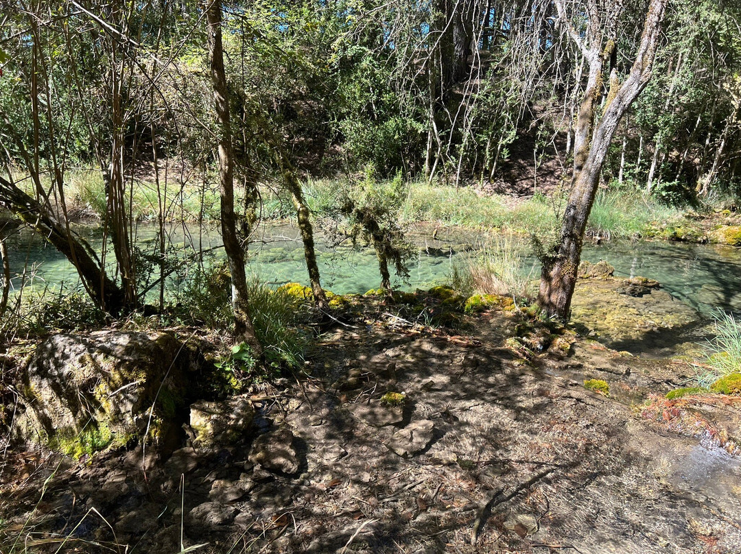 Nacimiento Del Rio Cuervo-Vega del Codorno必去景点