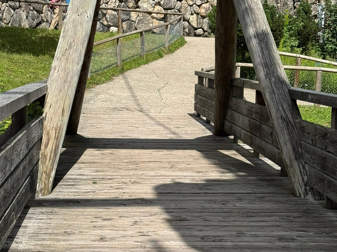 Steinwasen Park-Oberried必去景点