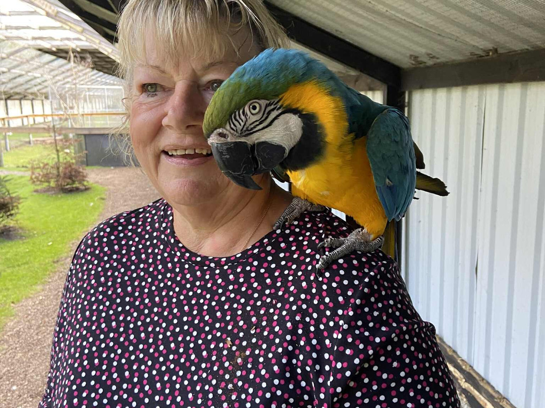 Dyrenes Verden Filskov Mini Zoo i Billund-格林斯泰兹必去景点