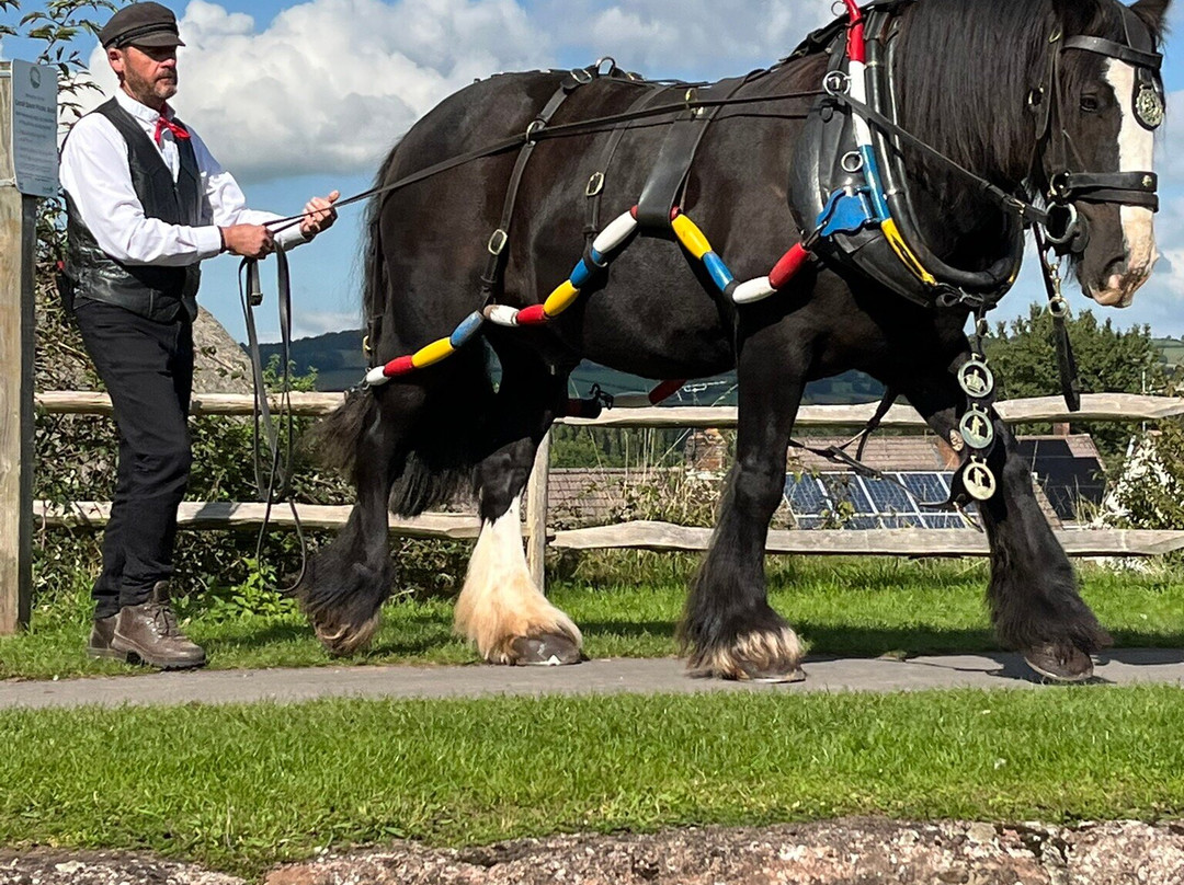 Tiverton Canal Co-蒂弗顿必去景点