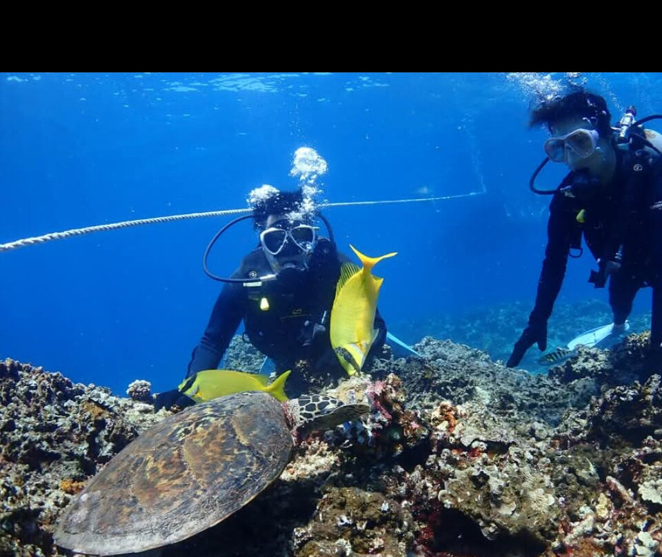 Joy Create Okinawa Tea-da-那霸市必去景点