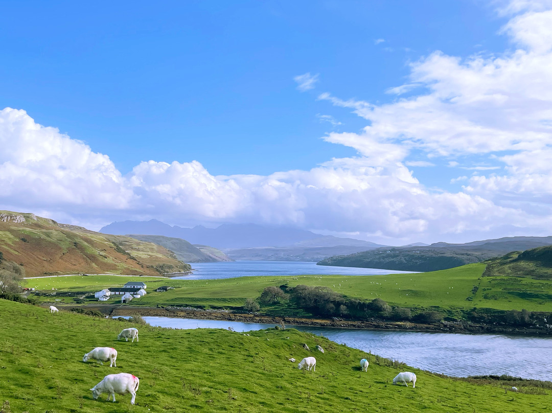 Isle of Skye Wildlife Tours -Tours-Portree必去景点