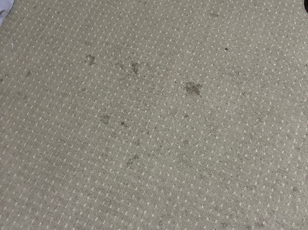 Rodeway Inn Fallsview主图