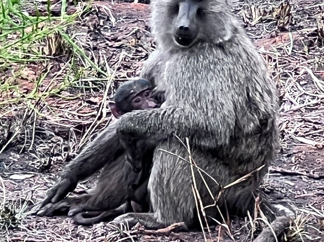 Kingfisher Journeys-吉佳利必去景点