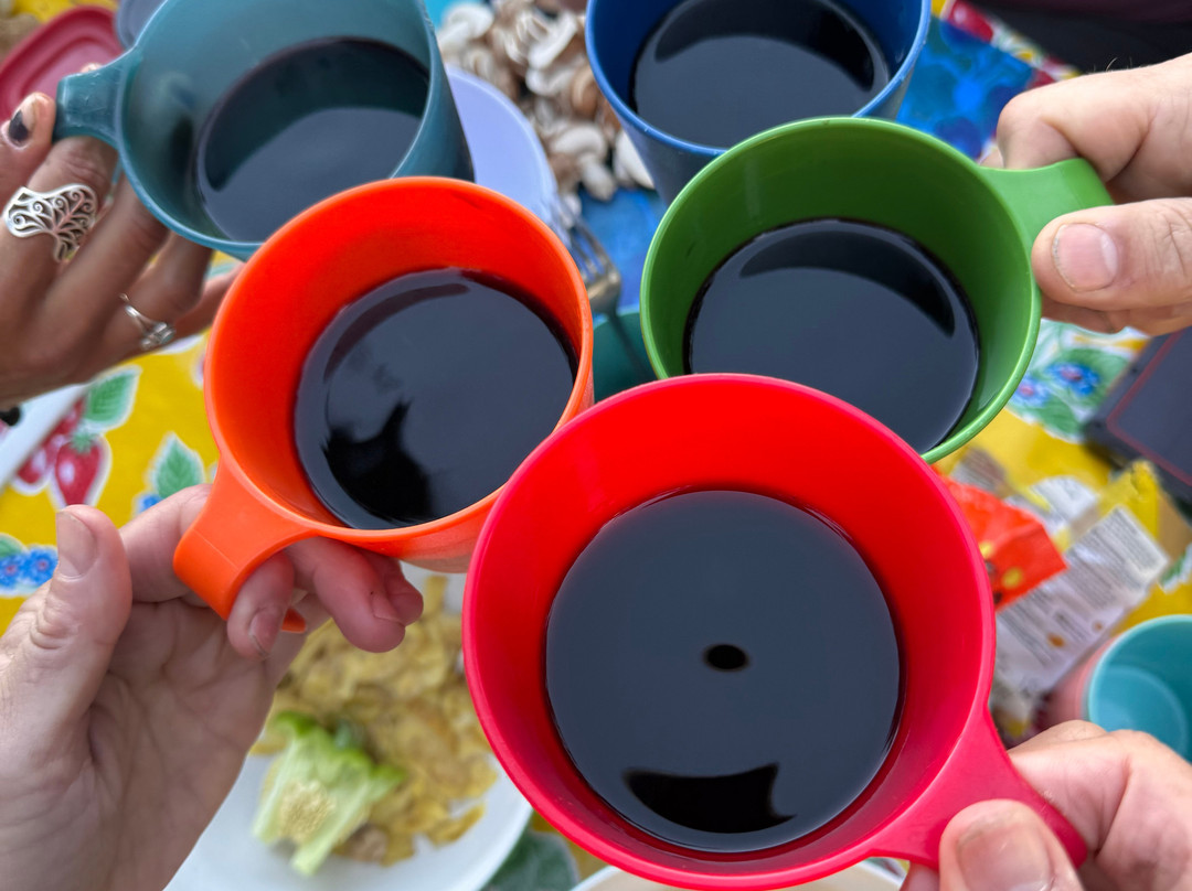 Crystal Seas Kayaking - Day Tours-星期五港湾必去景点