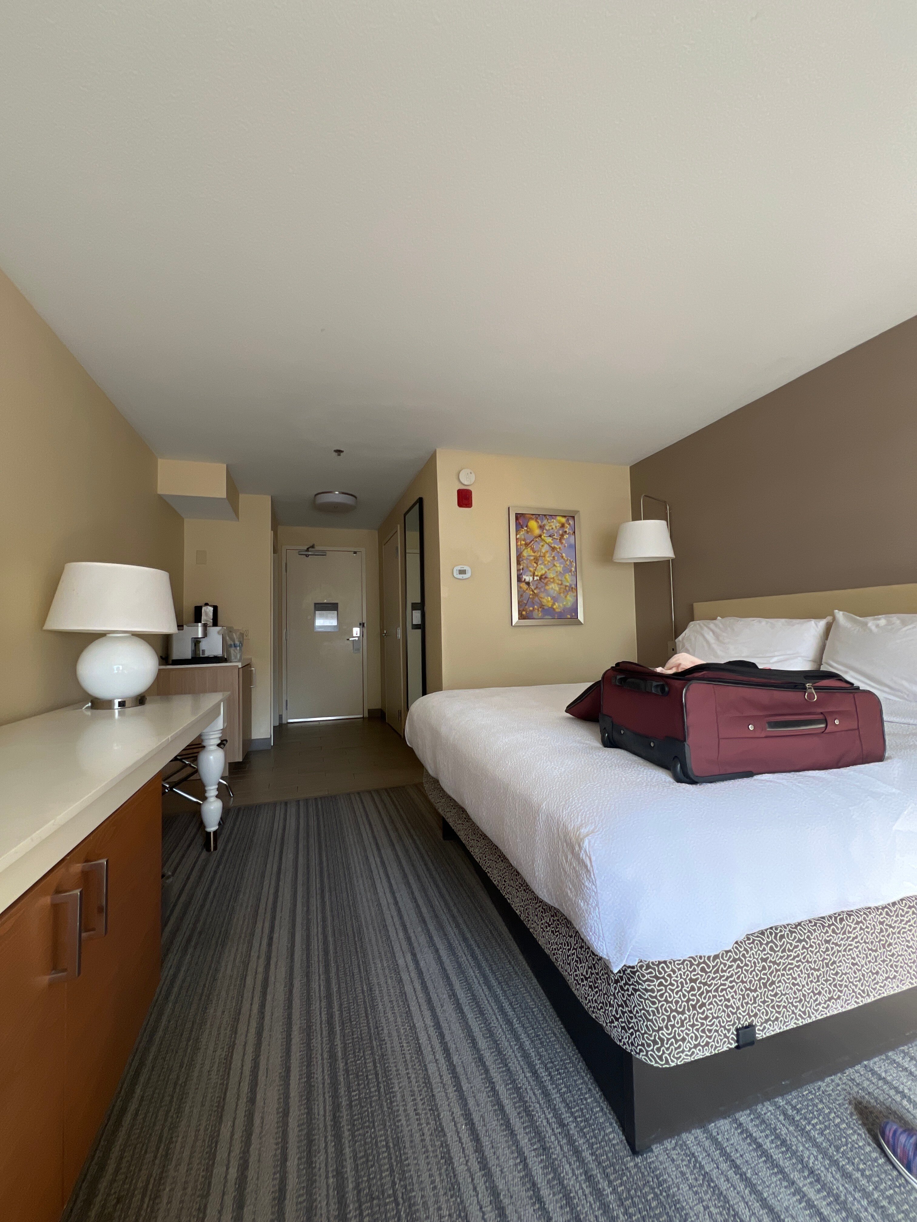 Hilton Garden Inn Roseville-客卧