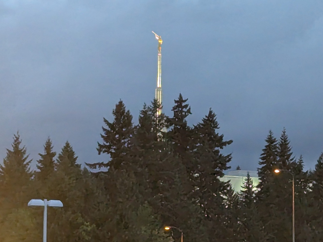 东门贝尔维尤银云酒店主图