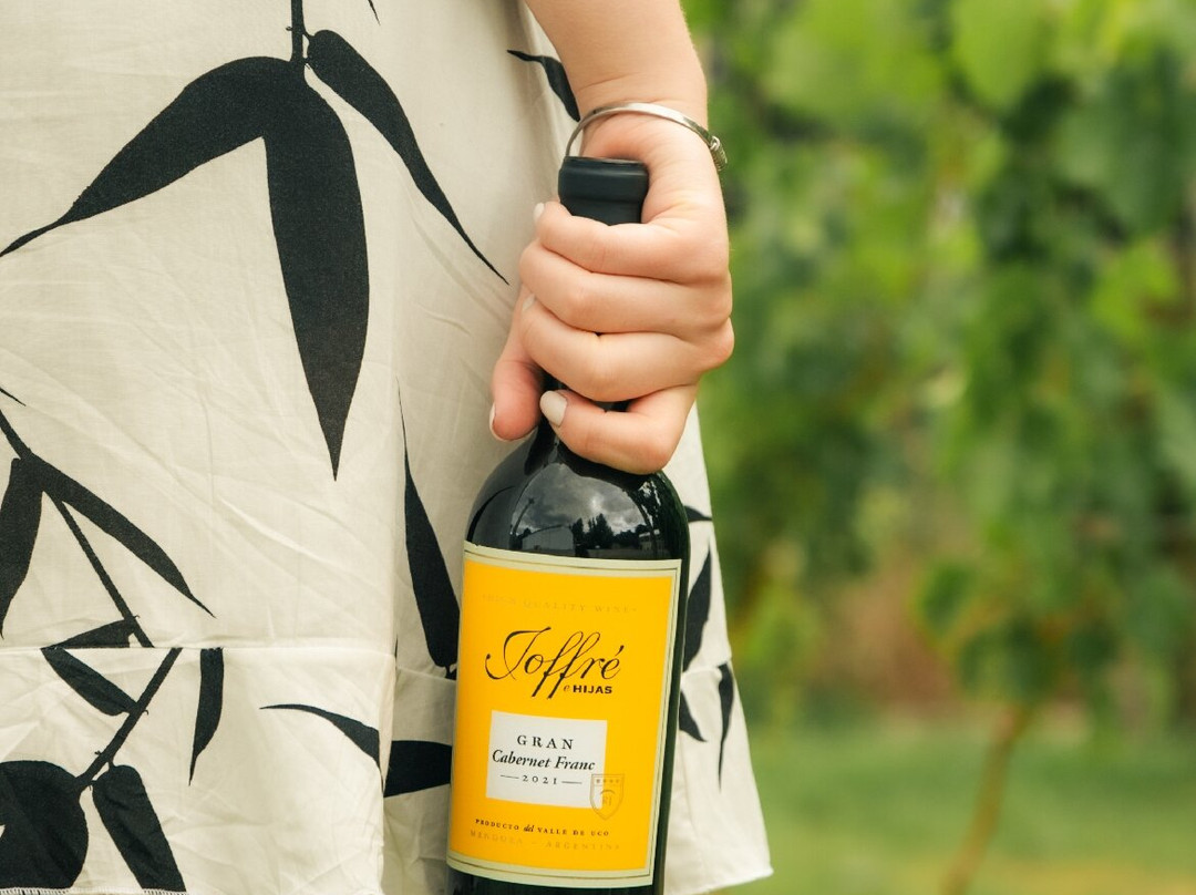 RJ Vinedos-路冉得库约必去景点