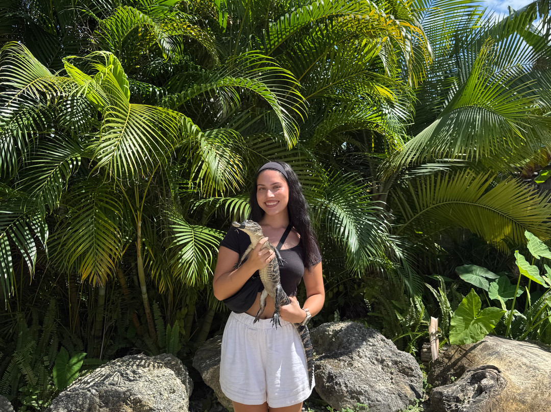 Croc Encounters-坦帕必去景点