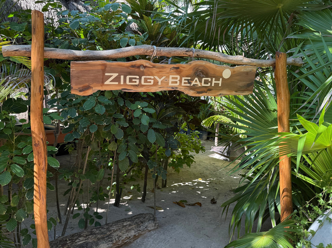 Ziggy’s Beach Club-图伦必去景点