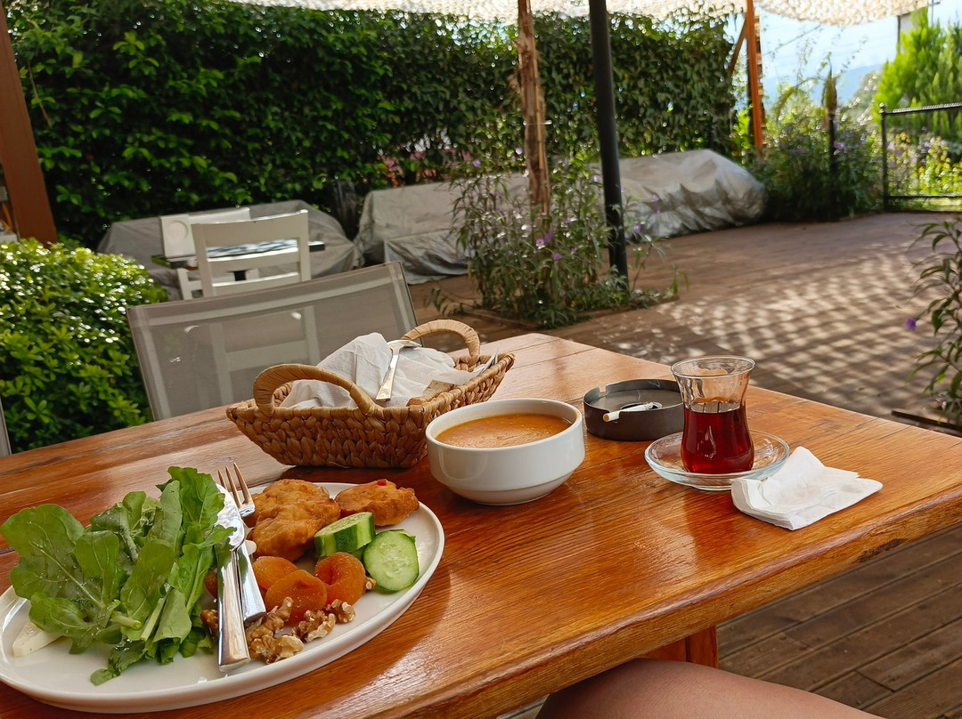 Gokova酒店住宿-Hotel Lotus Spa&sport Akyaka