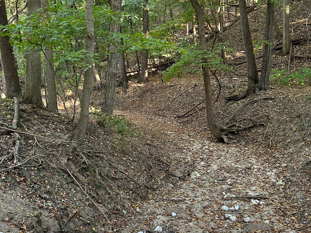 Forest Park Nature Center-皮奥里亚必去景点