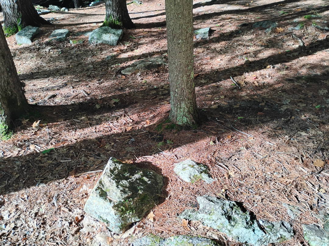 Snow Falls-West Paris必去景点