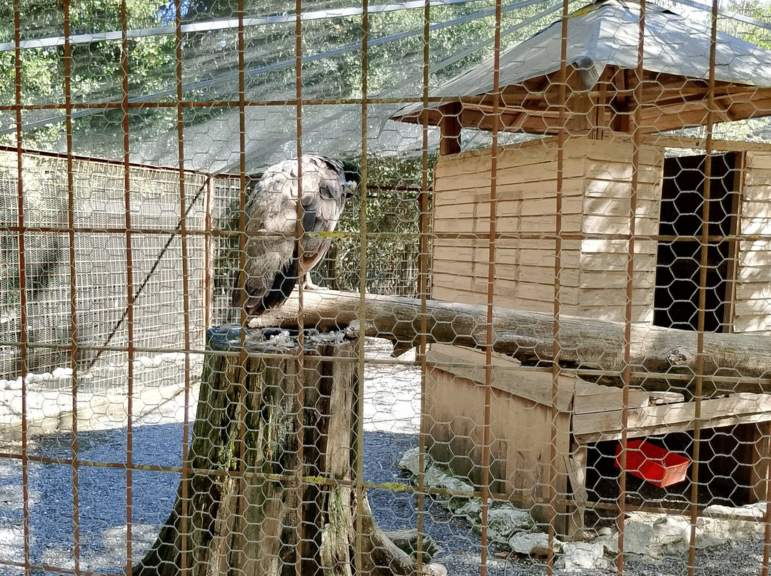 Agróktima Papákia-Karitena必去景点