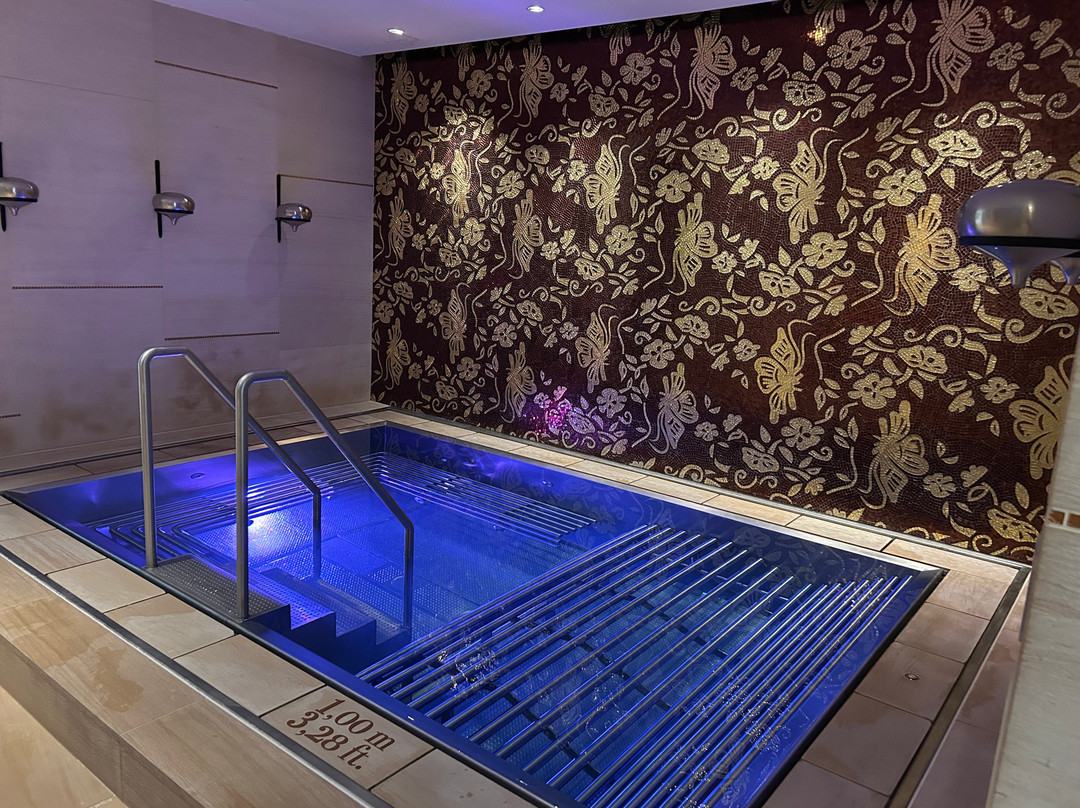 Grand Hotel River Park, a Luxury Collection Hotel, Bratislava主图