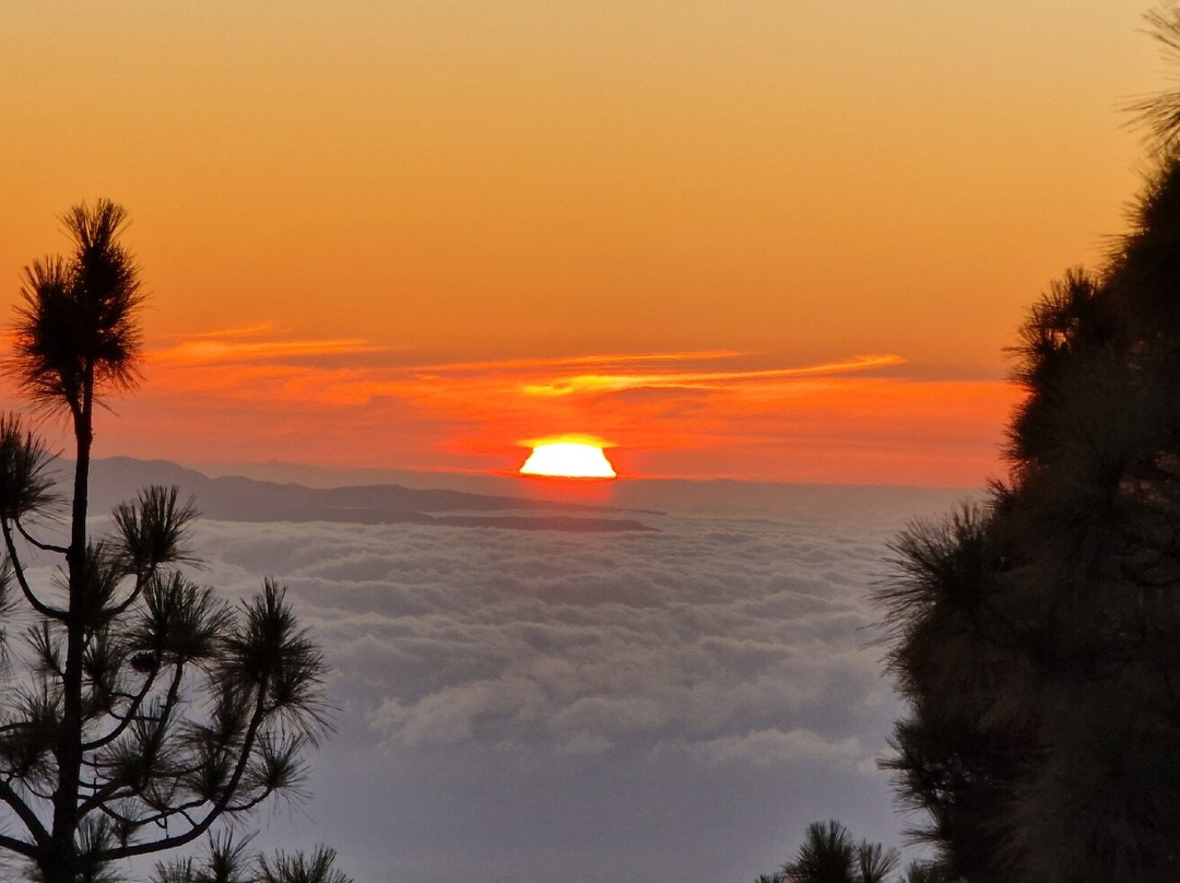 King Buggy Tenerife-Las Chafiras必去景点
