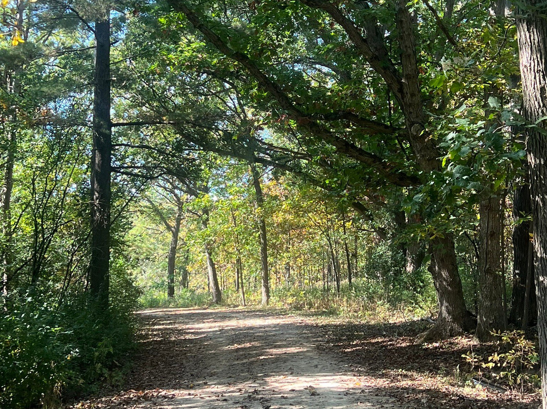 McDonald Woods Forest Preserve-Lake Villa必去景点