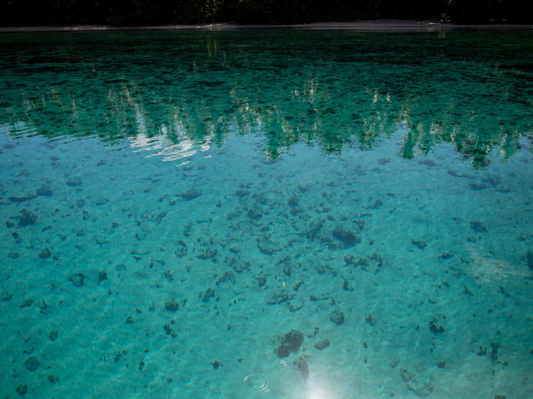 Ant Atoll-Kolonia必去景点