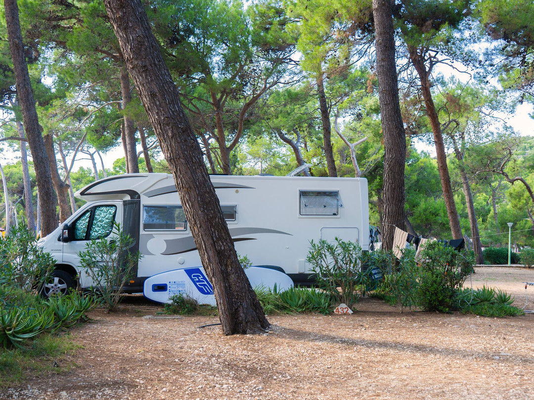 Baia Holiday Poljana