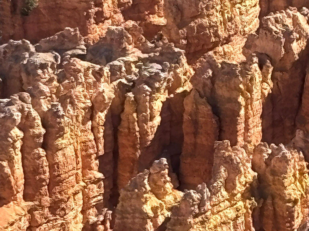 Grand Canyon Guru-Grand Canyon Village必去景点