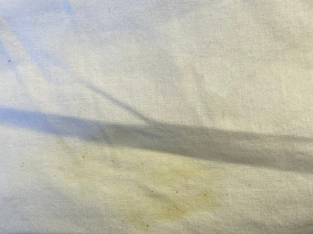 密歇根城市麦克罗特套房酒店主图