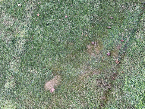 Hotel Dias By Azul Collection