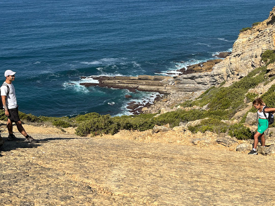 Badger Tours-塞新布拉必去景点