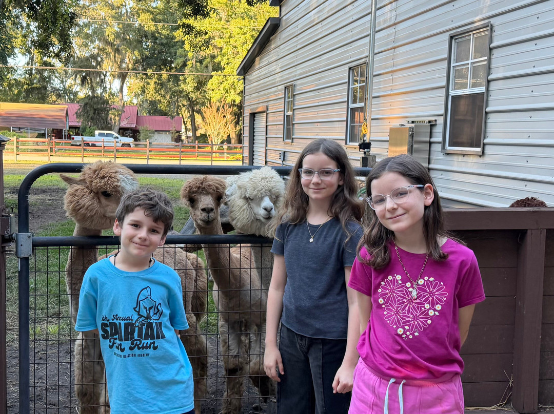 Shady Rest Alpacas-杰克逊维尔必去景点