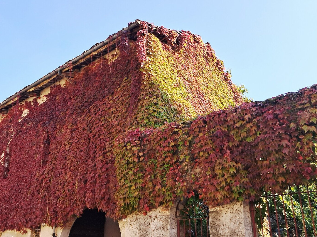 A Spasso per Bene Vagienna-Bene Vagienna必去景点