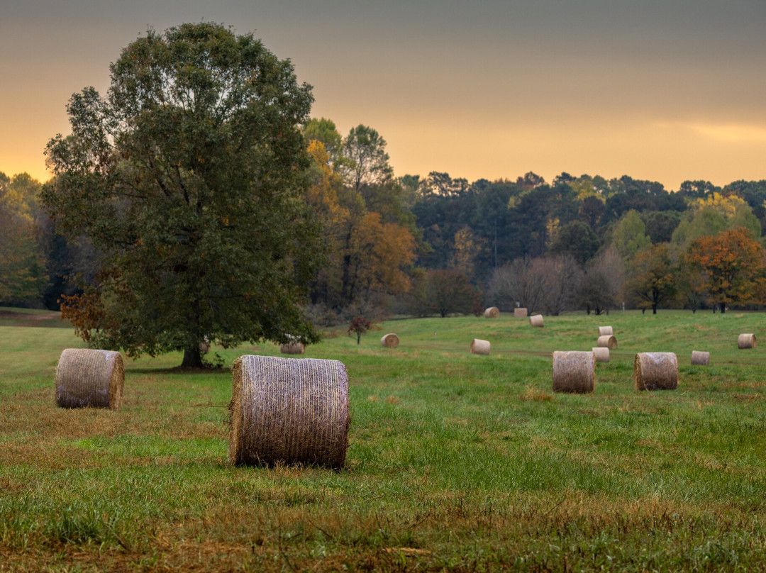 Milliken Arboretum-斯帕坦堡必去景点
