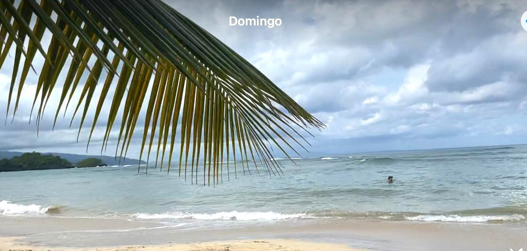 Playa Las Ballenas-拉斯特拉纳斯必去景点