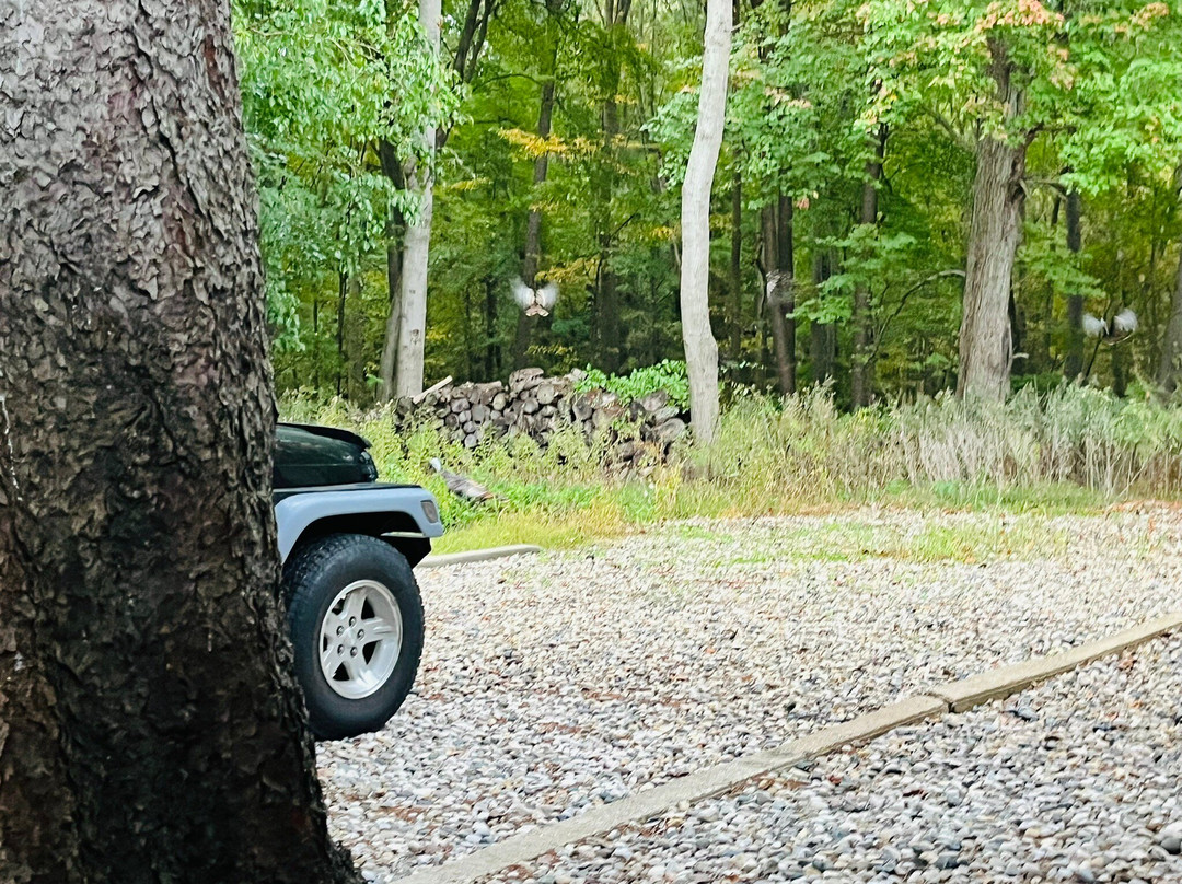 4411 Inn & Suites主图