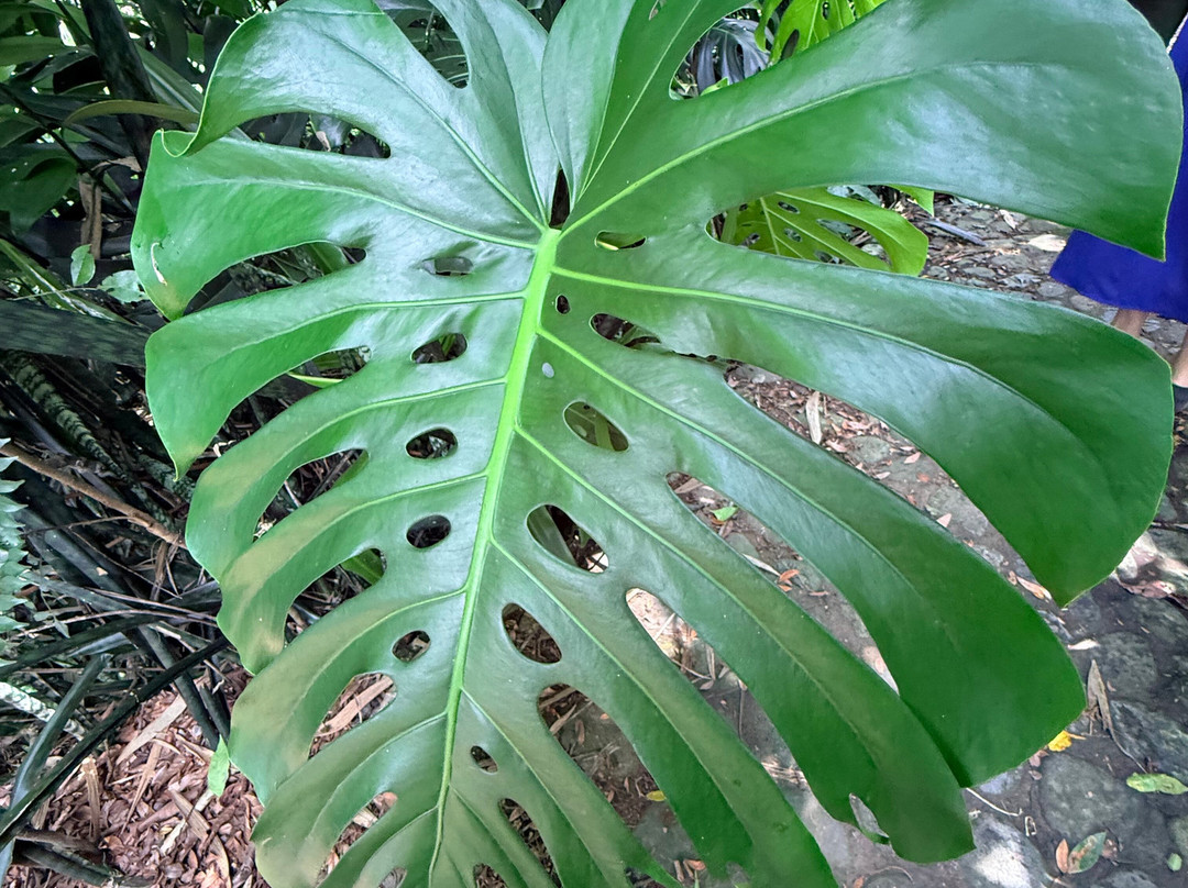 Biesanz Woodworks-埃斯卡松必去景点