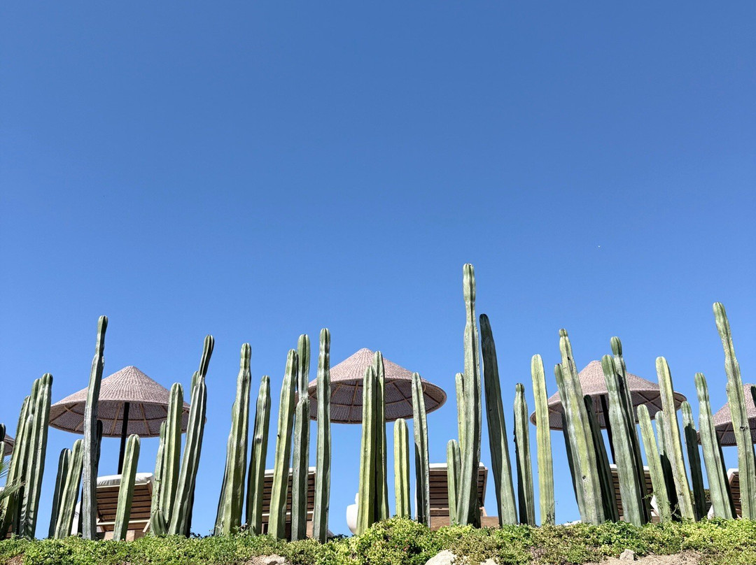 Botánica Spa At Kimpton Mas Olas-佩斯卡德罗必去景点