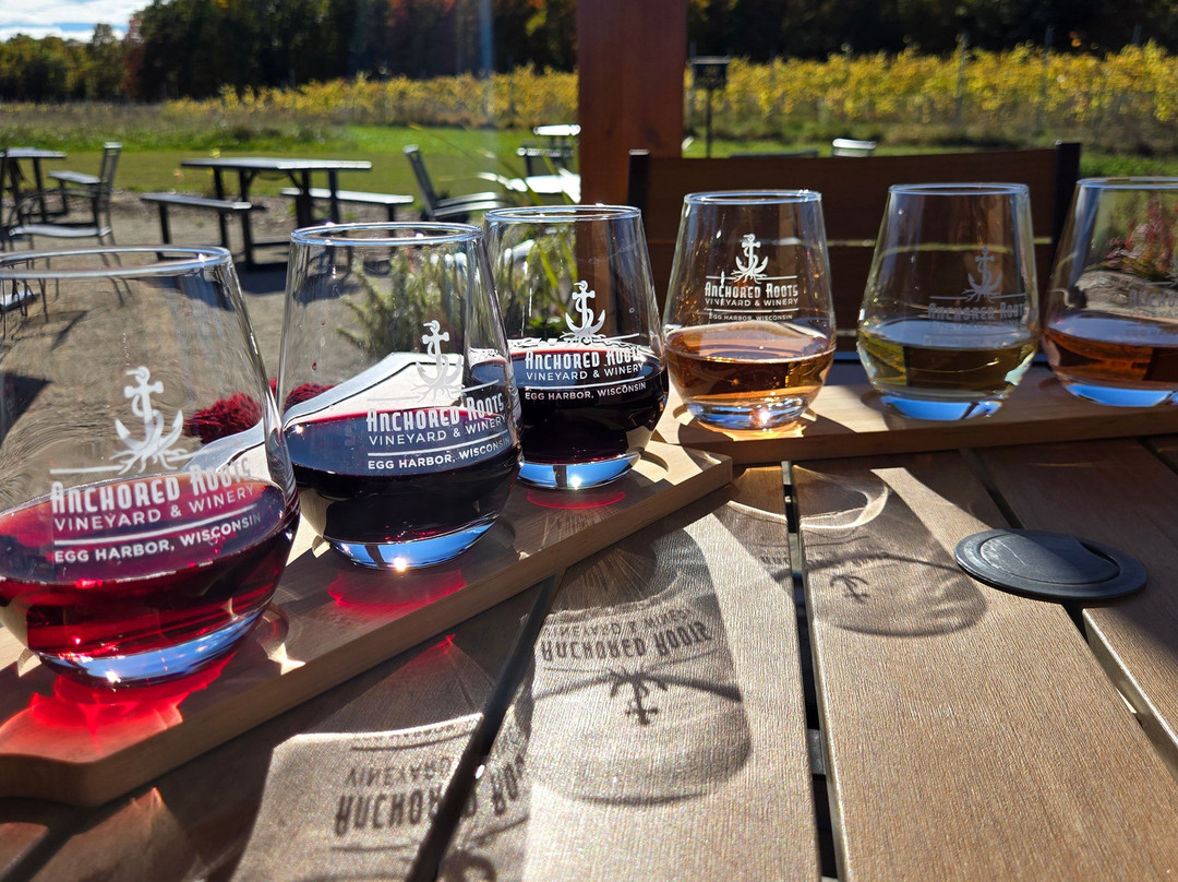 Anchored Roots Vineyard & Winery-Egg Harbor必去景点