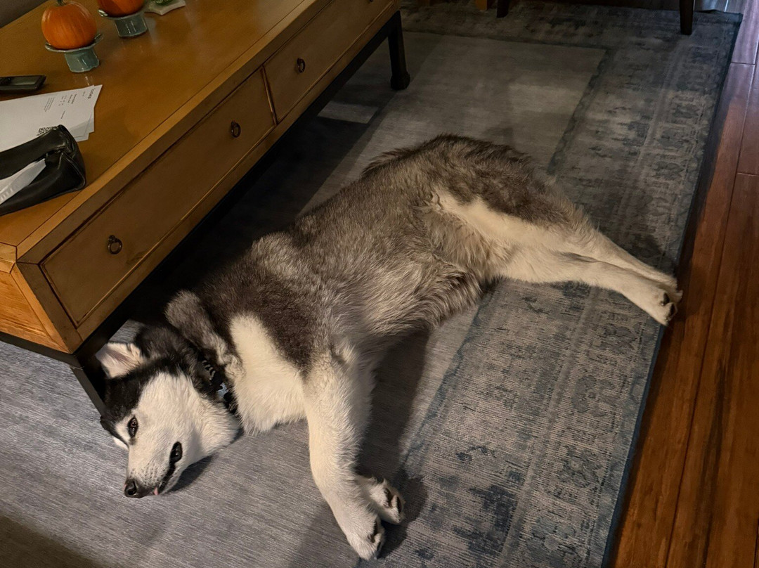 A Stone's Throw Bed & Breakfast主图