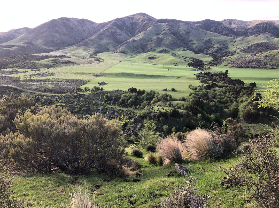 Island Hills Station-Culverden必去景点