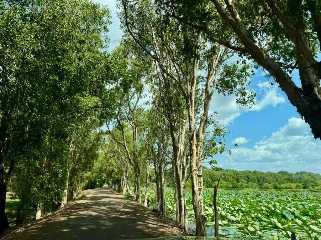 Fogg Dam Conservation Reserve-汉普蒂杜必去景点