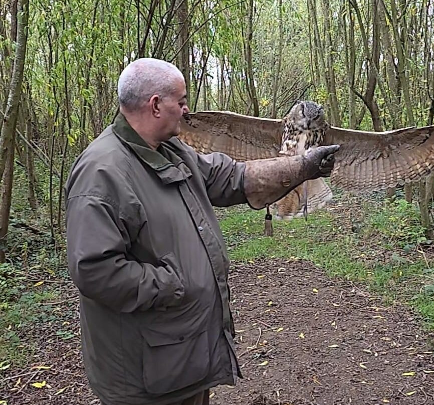 Bird on the Hand Falconry Experiences-Church Langton必去景点