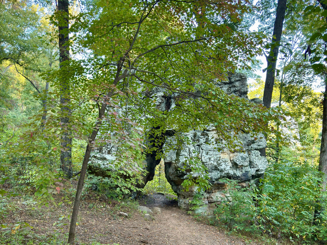 Pig trail lodging and RV park