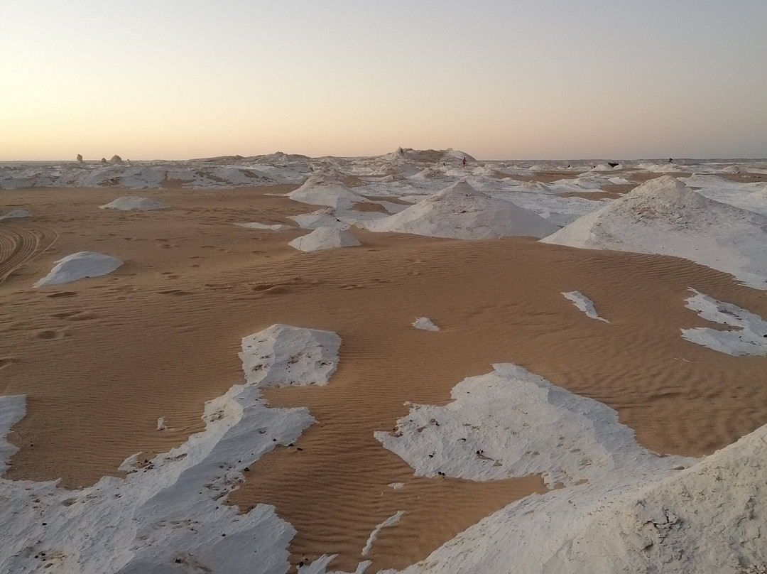 Egypt Camp White Desert-Bawiti必去景点