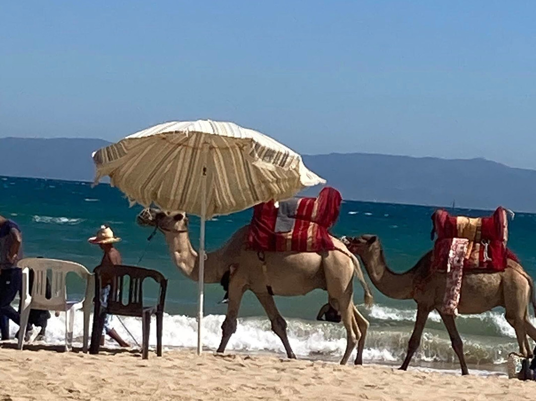 Plage de Tanger-丹吉尔必去景点