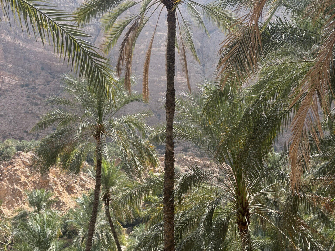 Wadi Tiwi-提维必去景点