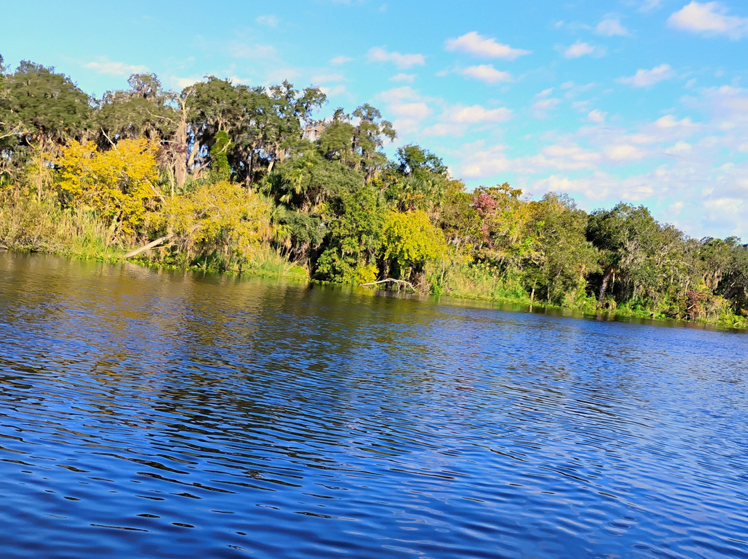 St. John's River Eco Tours, LLC-DeBary必去景点