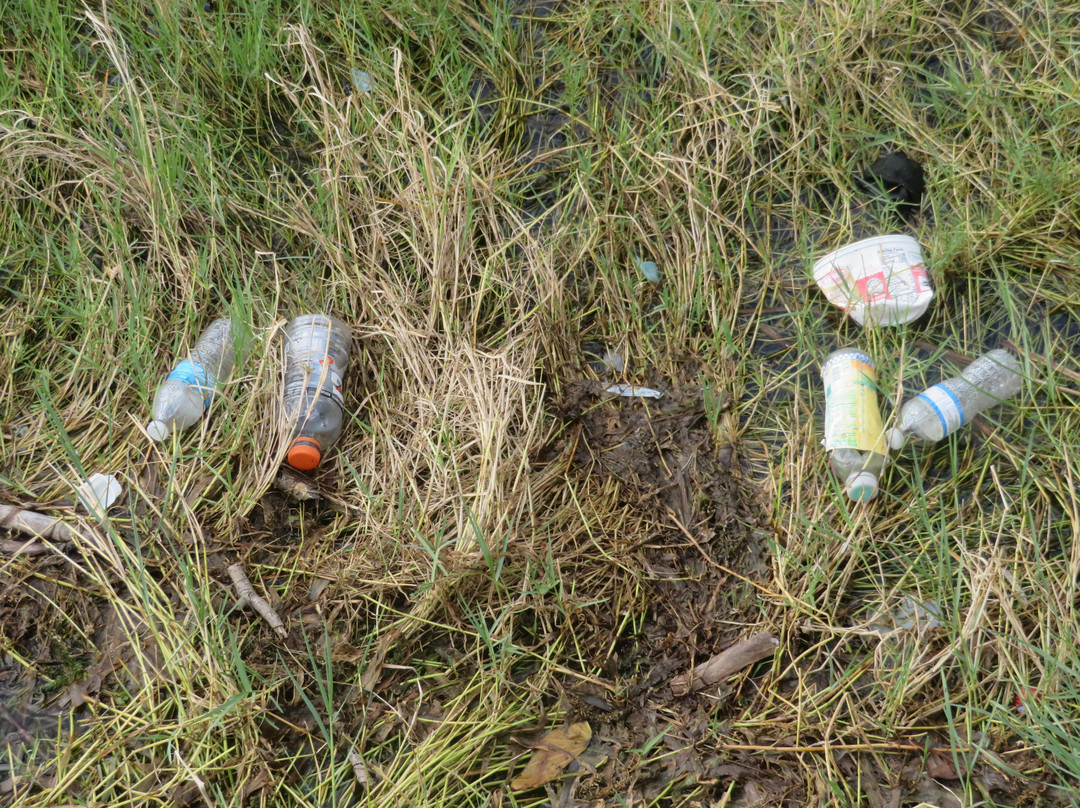 Lake Wailes Park-莱克威尔士必去景点